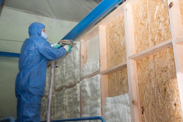 Insulation Repair Services in Chain Lake, WA