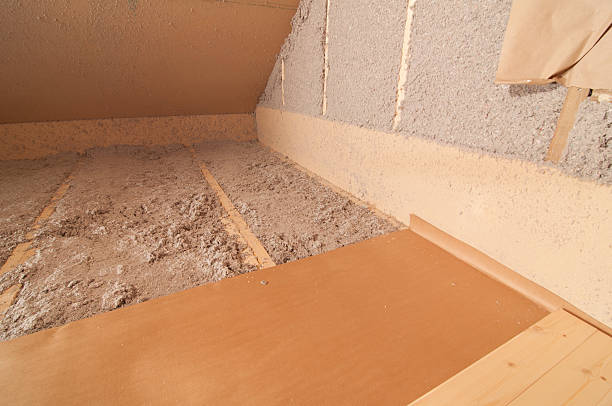 Best Energy-efficient Insulation  in Chain Lake, WA